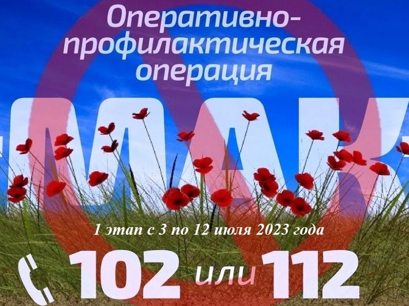 С 3 по 12 июля 2023 года на территории Саратовской области проводится первый этап межведомственной комплексной оперативно-профилактической операции «Мак – 2023».