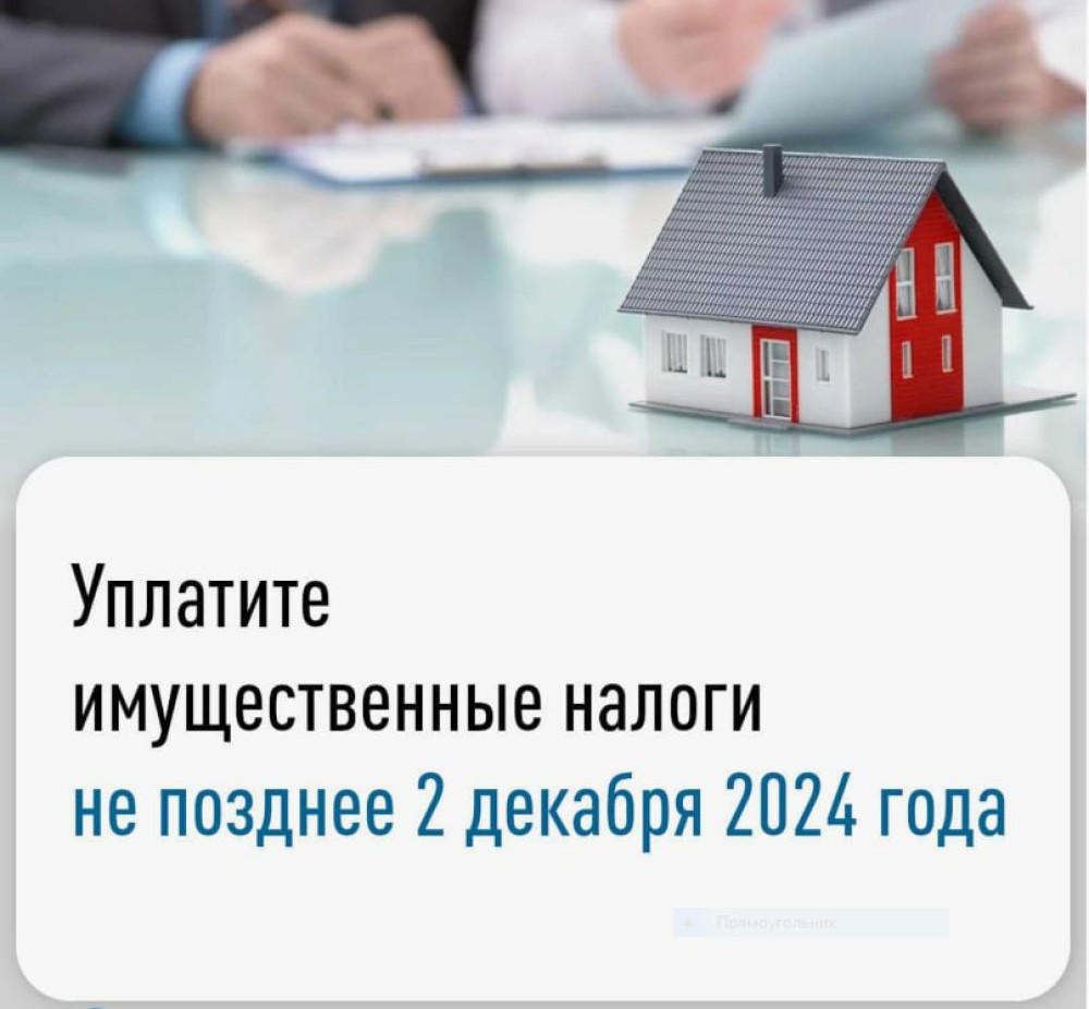 2 декабря 2024 года – последний день уплаты налогов!.