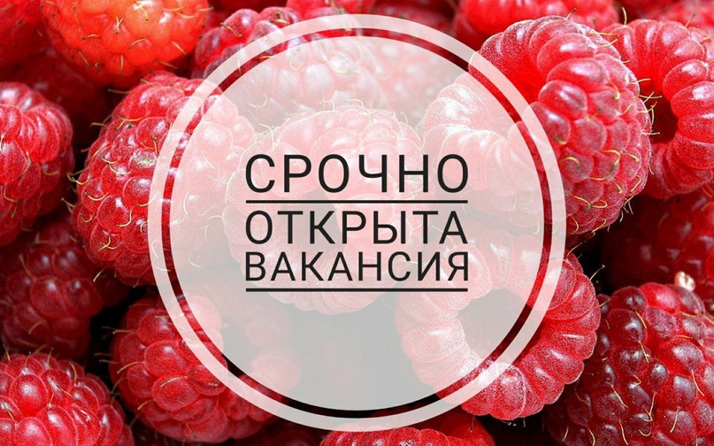 ❗️СРОЧНО❗️.