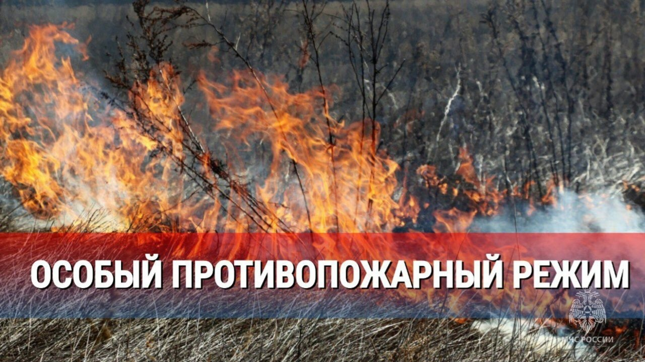 С 12 мая в Саратовской области действует особый противопожарный режим.