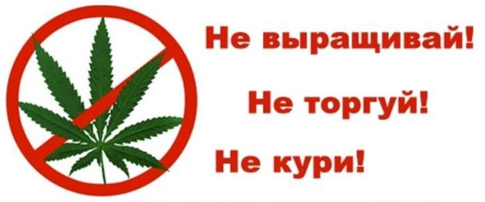 🚫 В соответствии с пунктами 3 и 4 статьи 29 Федерального закона «О наркотических средствах и психотропных веществах».