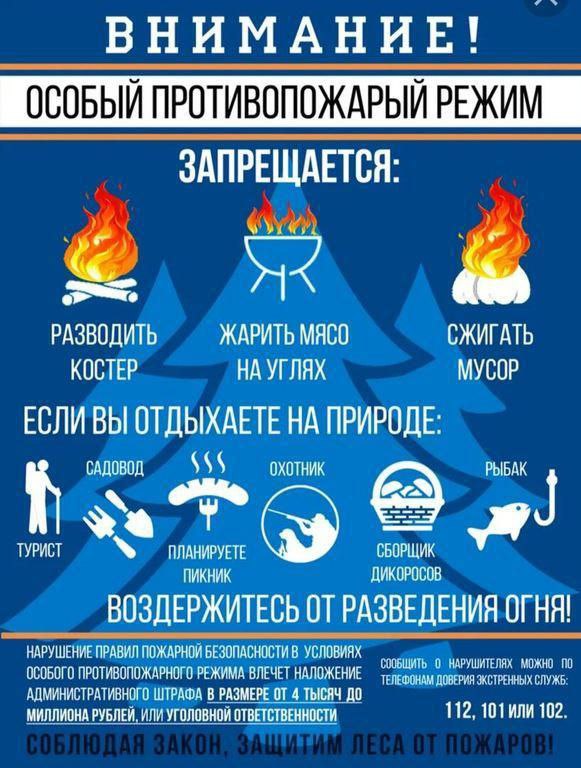 На территории Подлесновского МО с 25 июня по 03 августа 2024 года установлен особый противопожарный режим. На период действия особого противопожарного режима запрещено разведение костров, проведение пожароопасных работ..