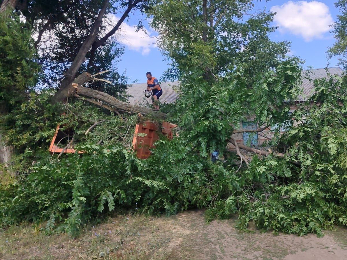 Добрый день, уважаемые односельчане!.