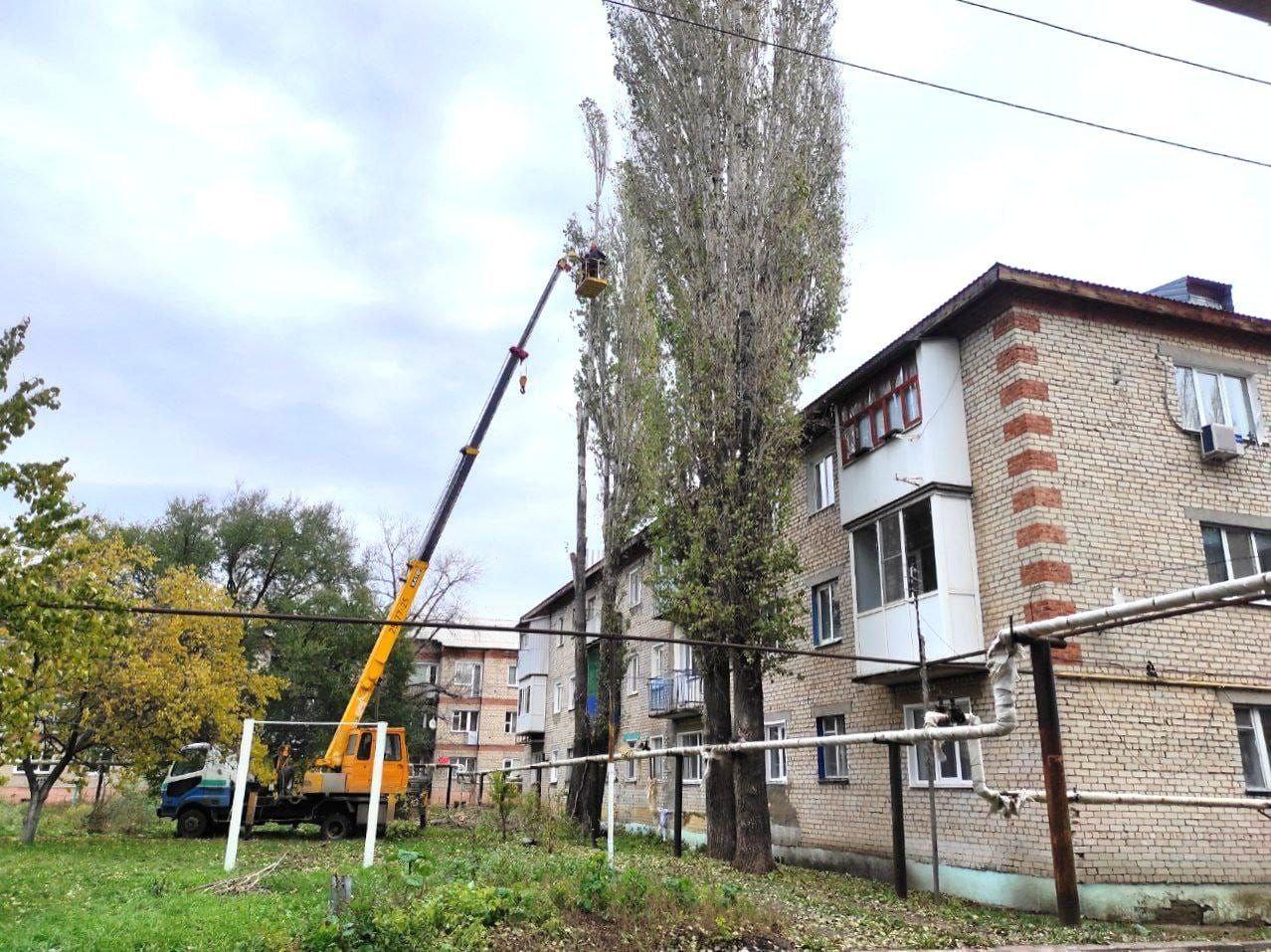 На этой неделе к Главе Подлесновского муниципального образования Снежанне Кузьминовой обратился житель многоквартирного сектора с. Подлесное с просьбой произвести опиловку деревьев у МКЖД..