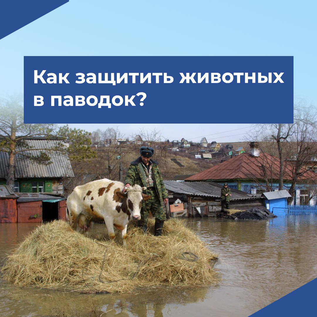 Весеннее половодье ожидается в 26 районах Саратовской области.