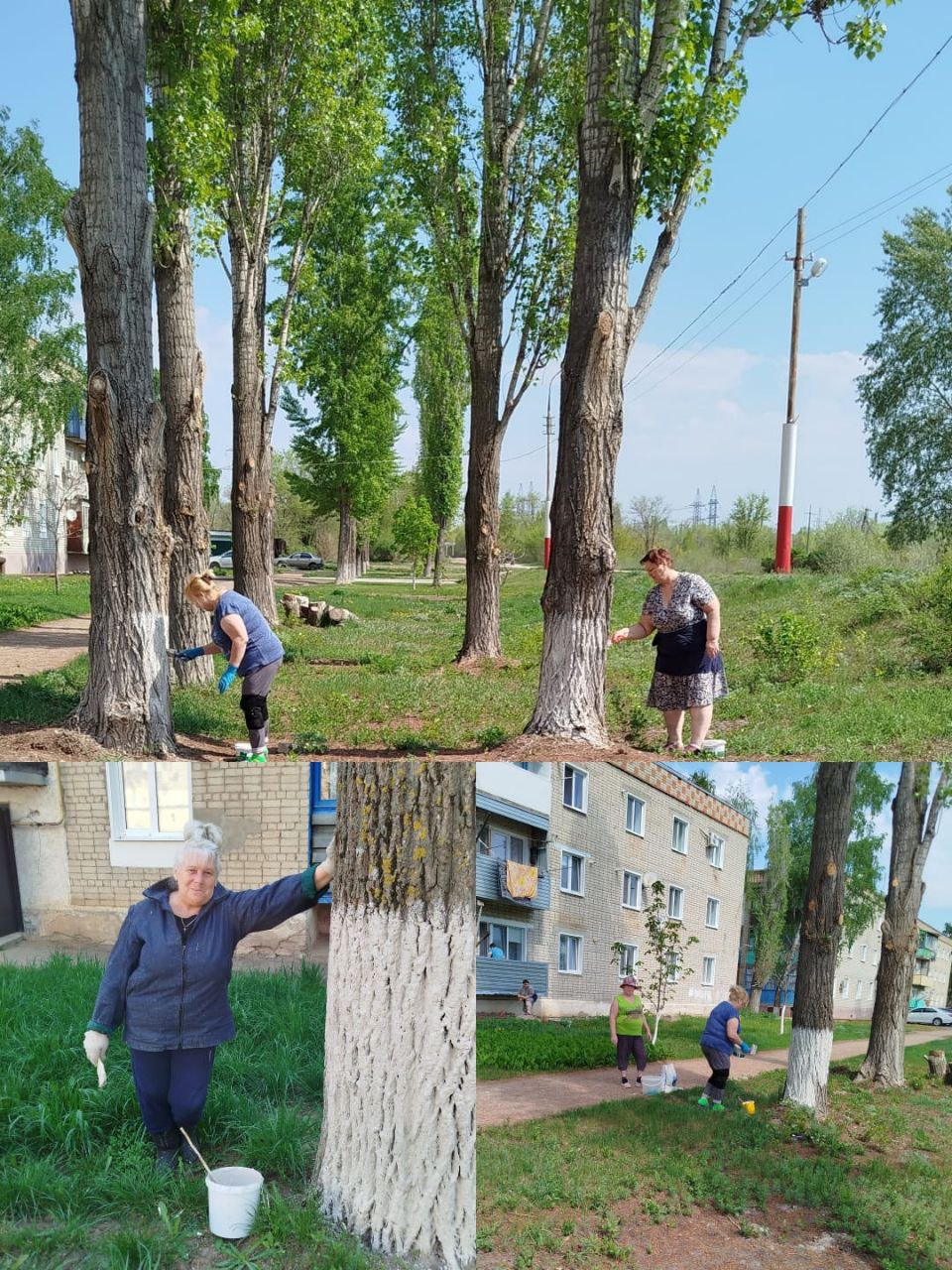 Сегодня прошел общероссийский субботник! Подводим итоги!  .