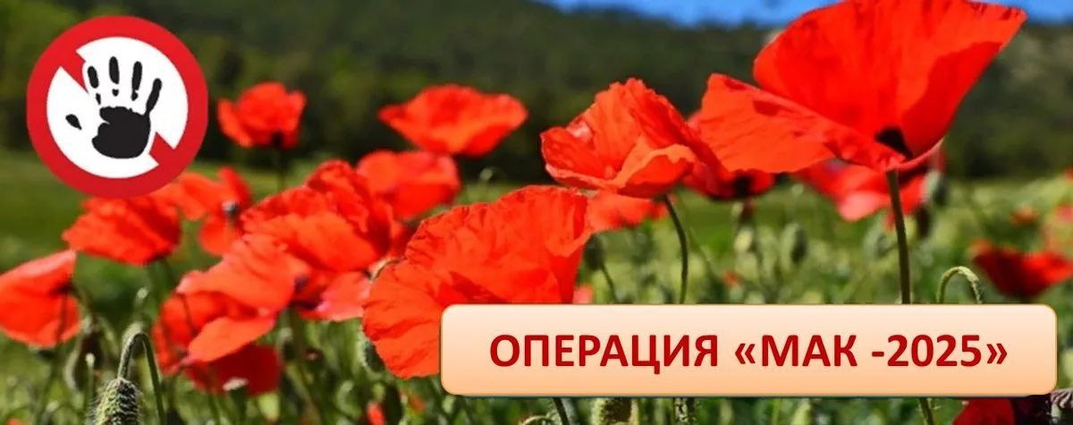 С 14 по 23 июля на территории Саратовской области проводится первый этап межведомственной комплексной оперативно-профилактической операции «Мак-2025» .