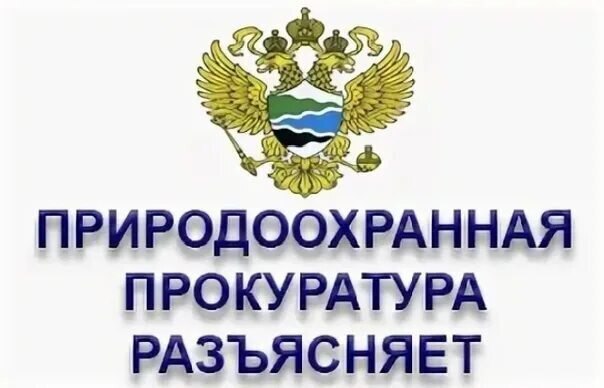 ❗️Саратовская межрайонная природоохранная прокуратура разъясняет изменения, внесенные в законодательство об охоте❗️.
