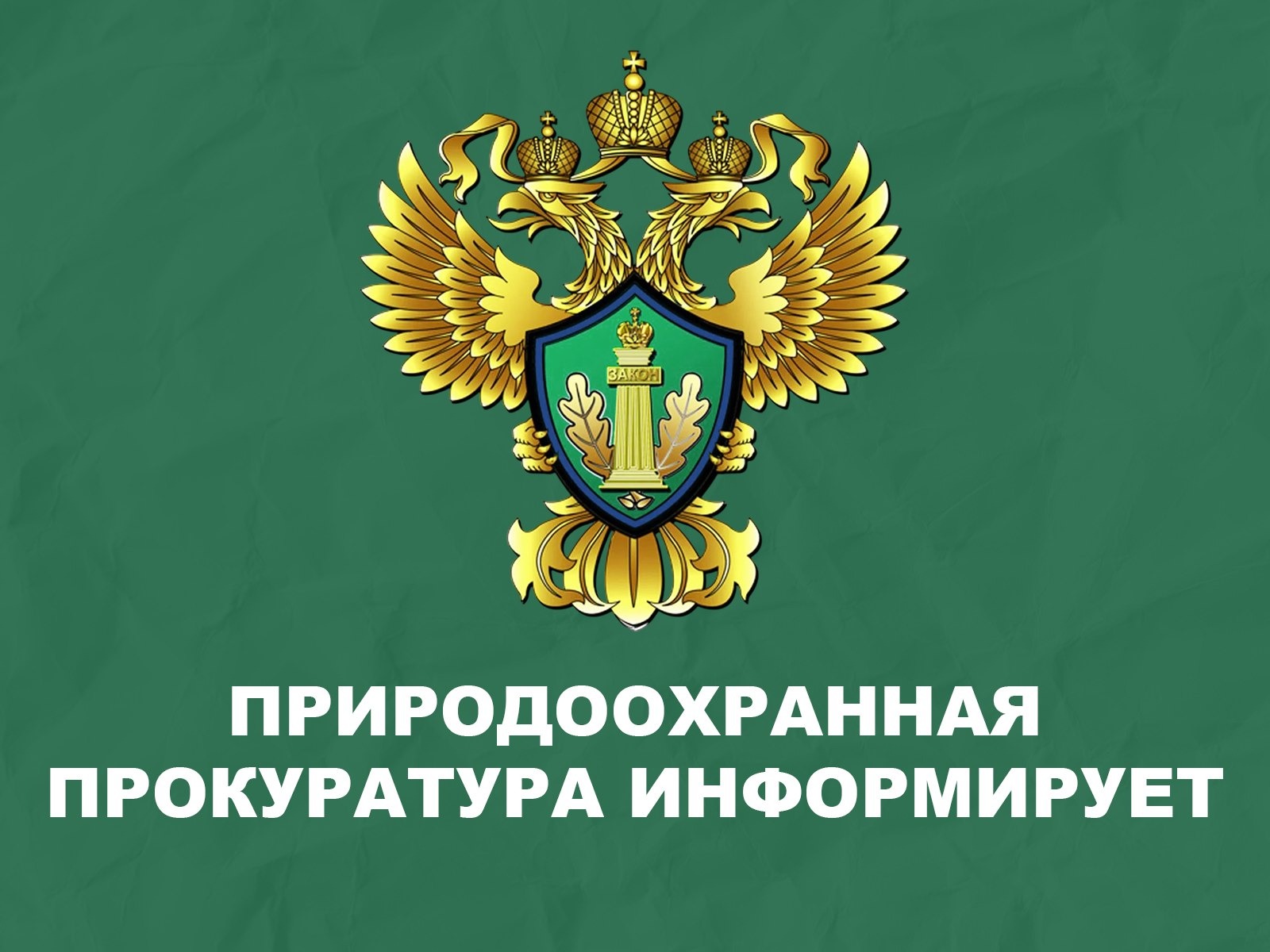 Саратовская межрайонная природоохранная прокуратура разъясняет изменения, внесенные в природоохранное законодательство.
