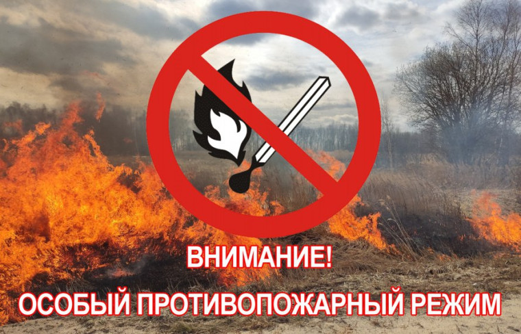 На территории Саратовской области продолжает действовать особый противопожарный режим⚠️. На территории Саратовской области продолжает действовать особый противопожарный режим⚠️.