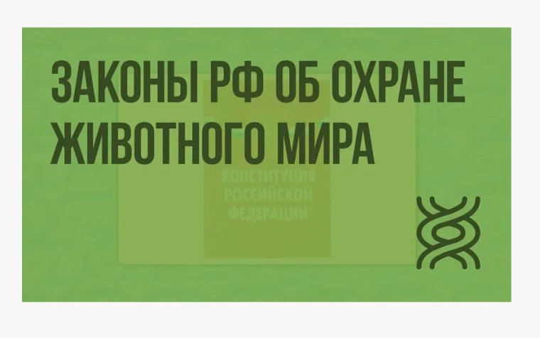 ❗️Саратовская межрайонная природоохранная прокуратура разъясняет изменения, внесенные в законодательство об охране животного мира❗️.