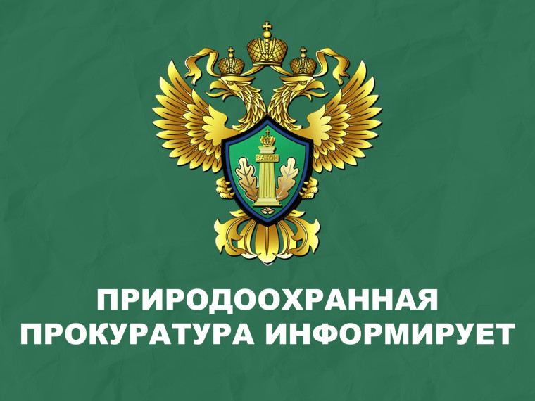 ❗️Саратовская межрайонная природоохранная прокуратура разъясняет изменения, внесенные в законодательство об отходах❗️.