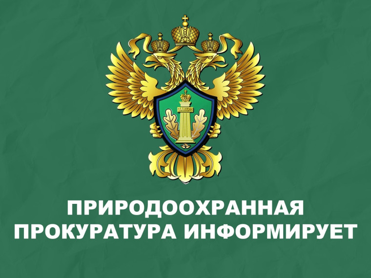 Саратовская межрайонная природоохранная прокуратура разъясняет изменения, внесенные в лесное законодательство.